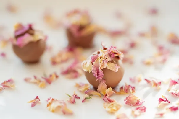 Andromeda Kasino Android/iOS aplikace